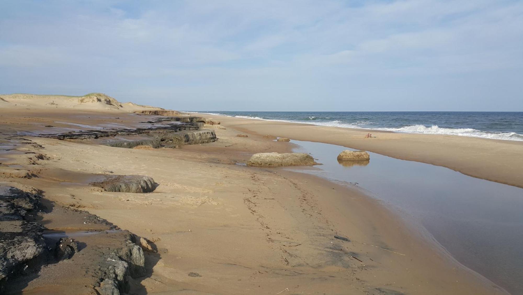 Posada Buscavida Close To Cabo Polonio, Oceania Del Polonio Ринкон-де-лос-Оливерас Экстерьер фото